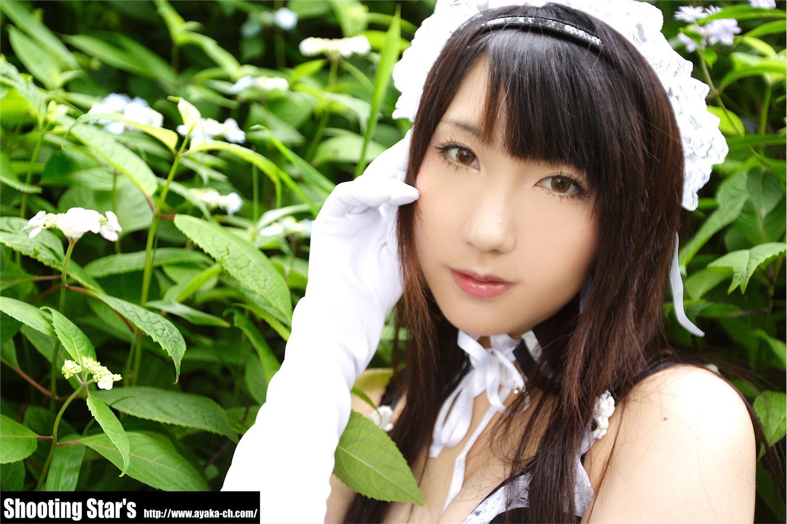 [Cosplay]  Sexy Maid with big boobs